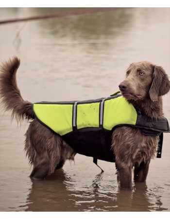 Duvo Plus Dog life jacket, M - peldveste suņiem