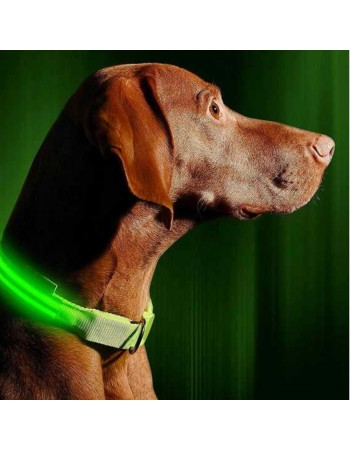  Duvo Plus Flash light collar usb L - USB заряжаемый нейлоновый светящийся ошейник