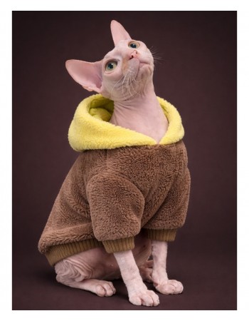 Худи для котов  (bear cub)