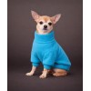 Джемпер для собачки (turquoise)