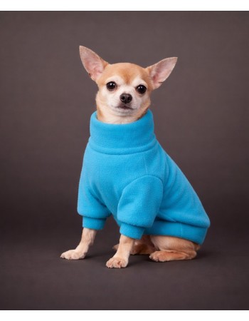 Джемпер для собачки (turquoise)
