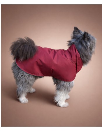 Влагостойкая попона (bordo)