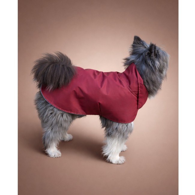 Влагостойкая попона (bordo)