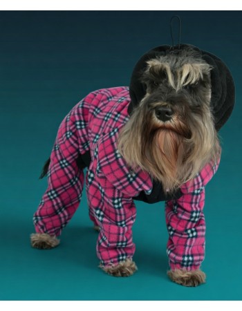 Комбинезон для любимицы ,,Lessi,,