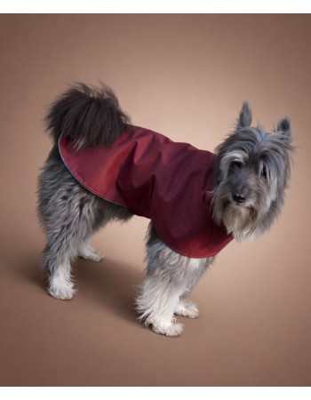 Влагостойкая попона (bordo)