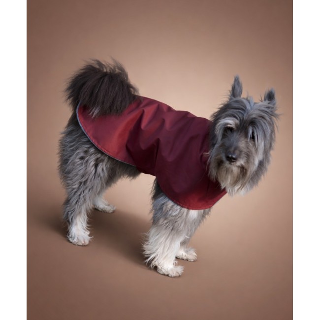 Влагостойкая попона (bordo)