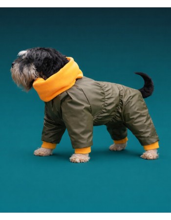 Комбинезон для любимицы ,,Laima,,