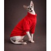 Джемпер для котов ,, Sharyl ,,