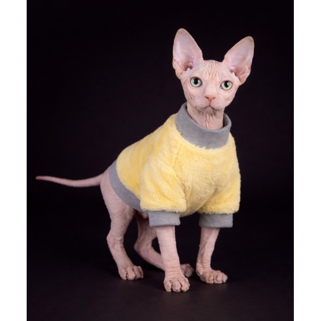 Джемпер для котов   ,, Erin ,,