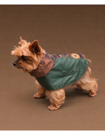 Попона для собачки ,,Boo ,,