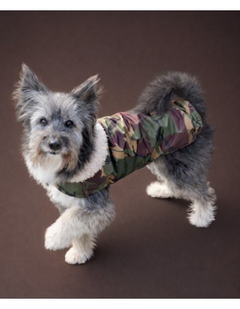 Попона для собачки (brown military)