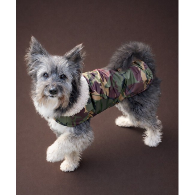 Попона для собачки (brown military)