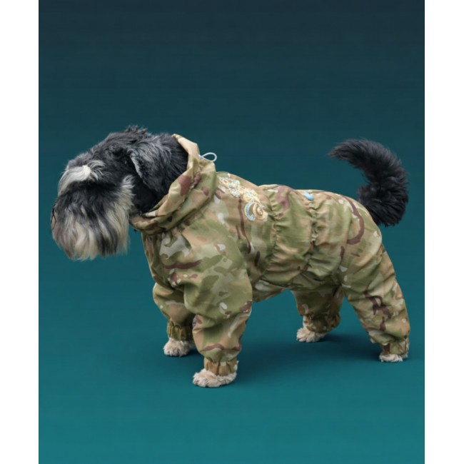 Комбинезон для  любимицы ,,Barni,,