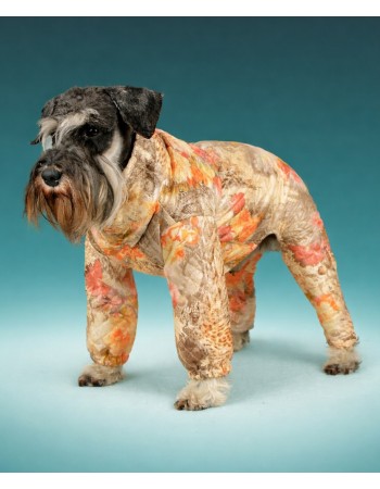 Комбинезон для вашей собачки  (flowers)