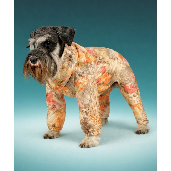 Комбинезон для вашей собачки  (flowers)