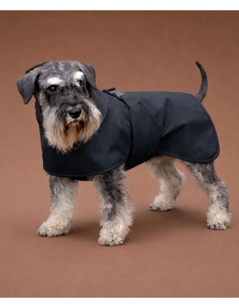 Дождевик  ,,Lion,,