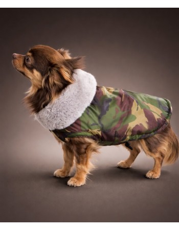 Попона для собачки (military)