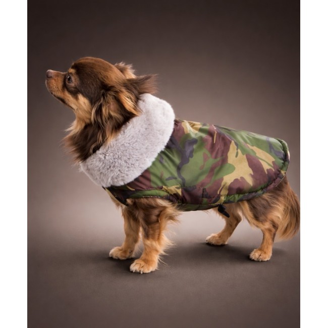 Попона для собачки (military)