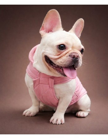 Тёплая попона  (stylish)