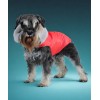 Тёплая попона для собачки (красная)