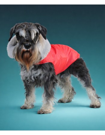 Тёплая попона для собачки (красная)