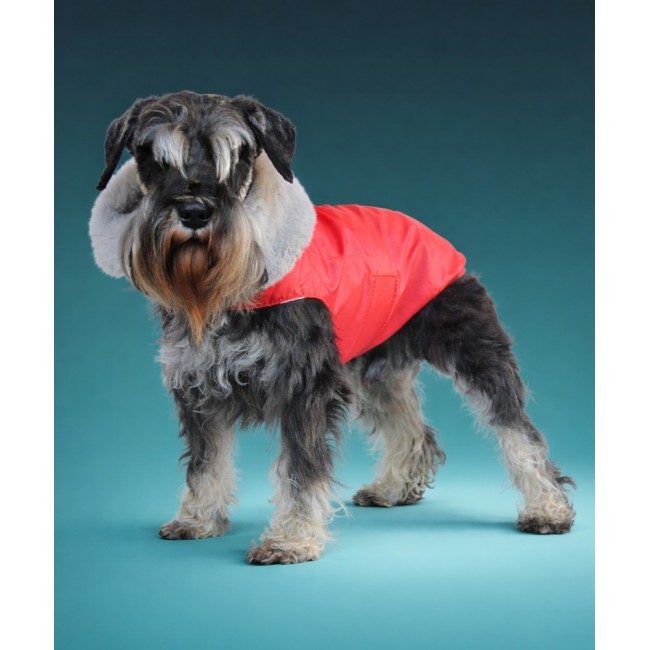 Тёплая попона для собачки (красная)