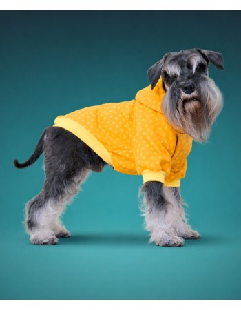 Толстовка (жёлтая)