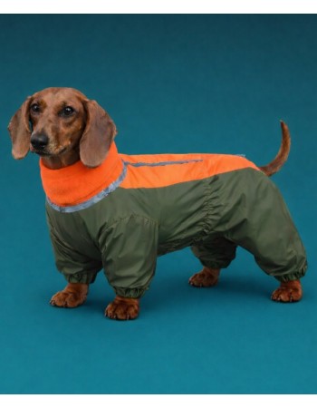 Комбинезон для любимицы ,,Lady,,