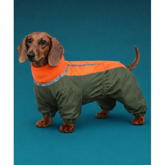 Комбинезон для любимицы ,,Lady,,