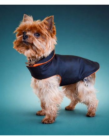 Попона для собачки (чёрная)