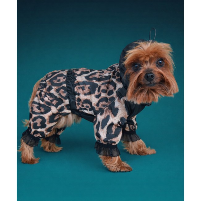 Комбинезон для вашей собачки  (leopard)