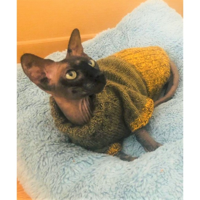 Подстилка - подушка (голубая)