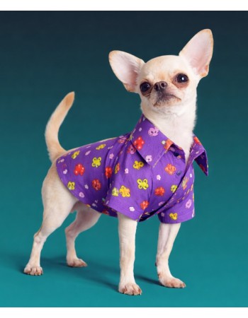 Krekls suņiem (purple)