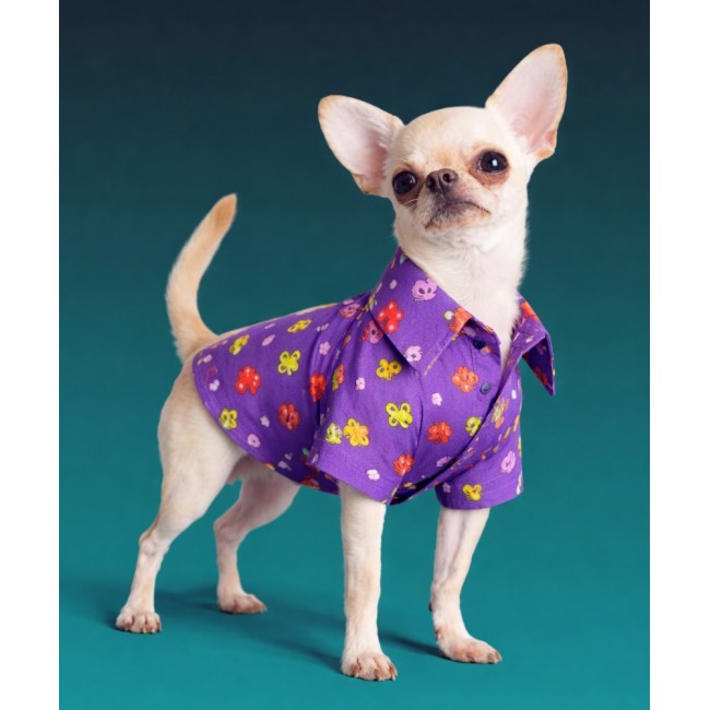 Krekls suņiem (purple)