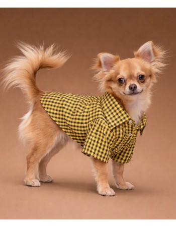 Krekls suņiem (cell)