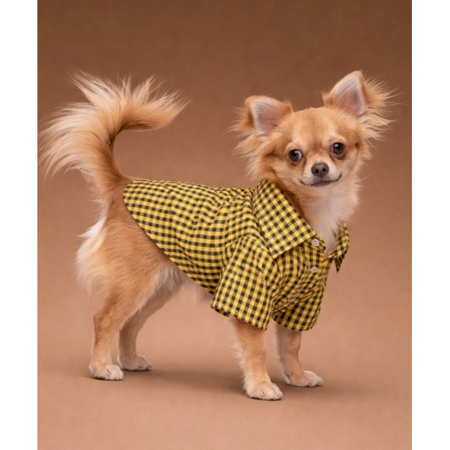 Рубашка для собак (cell)