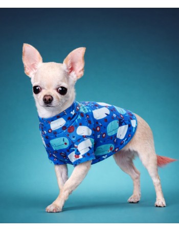 Футболка для собаки ( whale )