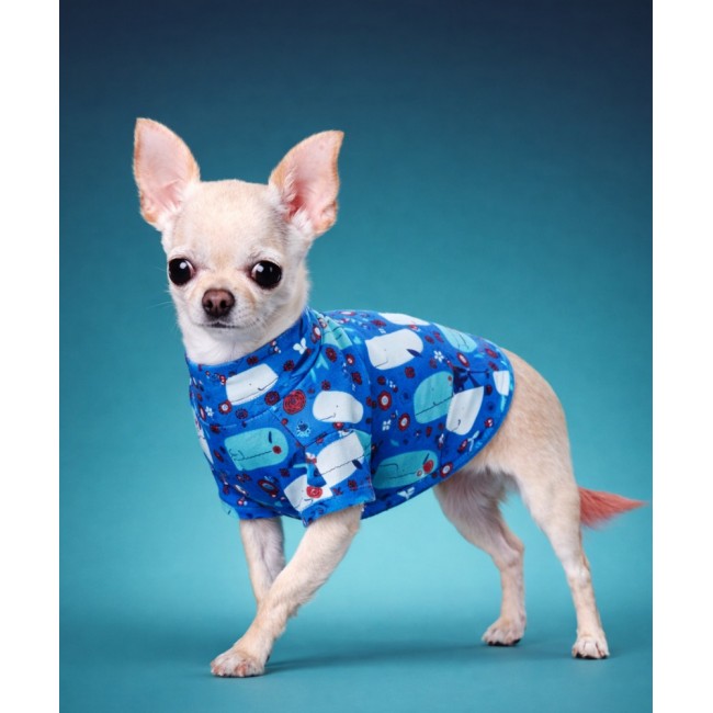 Футболка для собаки ( whale )