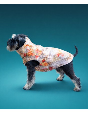 Veste sunim  (flower)