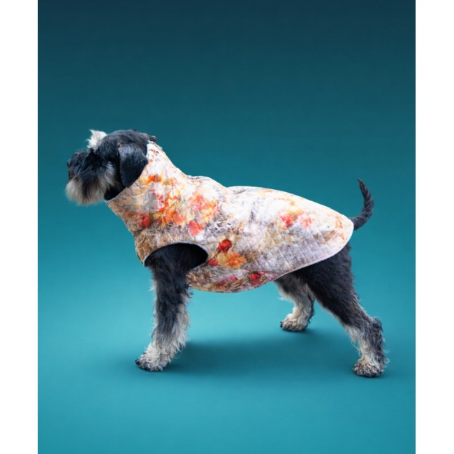 Veste sunim  (flower)