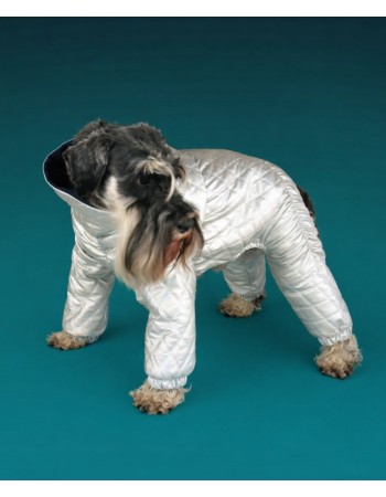 Комбинезон для вашей собачки  (diamond)