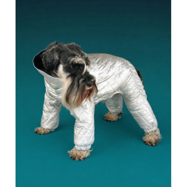 Комбинезон для вашей собачки  (diamond)