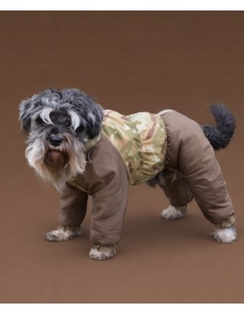 Комбинезон для вашей собачки ,,Bimbo,,