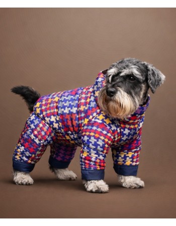 Комбинезон для любимицы ,,Aisa,,