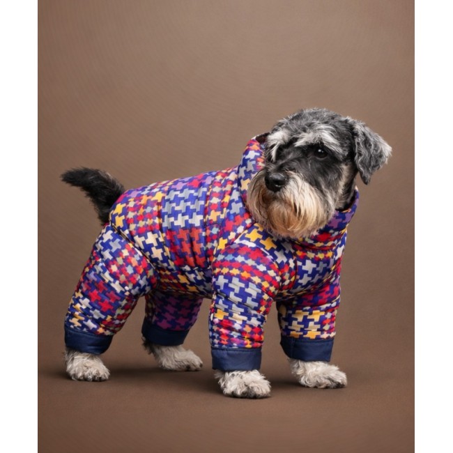 Комбинезон для любимицы ,,Aisa,,