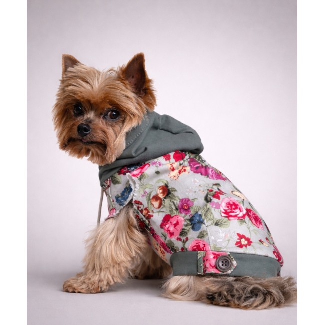 Jaciņa jūsu sunim (rose)