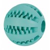 Duvo Plus Rubber Dental Ball with Flavouring, 5cm  (turquoise)