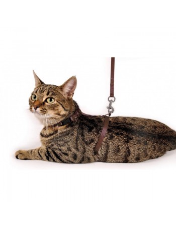 Flamingo Cat harness - шлейка с поводком для кошек, коричневая